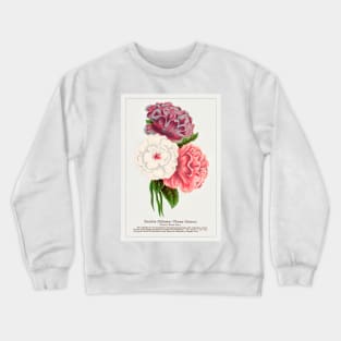 Double Althea in 3 Colors Lithograph (1900) Crewneck Sweatshirt